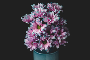 Pastel Flowers in Vase on Black Background