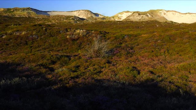 Sylt D&uuml;nen Landschaft - Wanderd&uuml;nen Lister Ellenbogen
