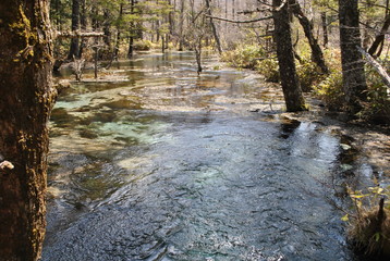 kamikochi, nagano, japan