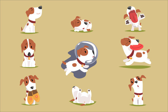 Cute little puppy in his evereday activity set, dogs daily routine funny colorful character