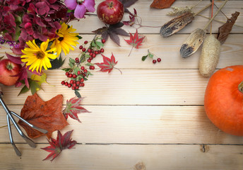 top view on autumnal flowers put on a wooden table with leaf, gardening tools, red apple and pumpkin 