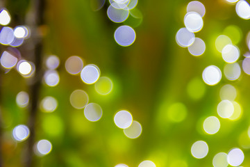 green bokeh abstract