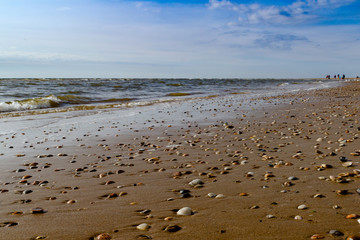 Sandstrand mit Muscheln