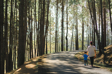 rear side of mother and son walk along in the pine forest.  in early autumn season little boy learning with a nature pine tree.