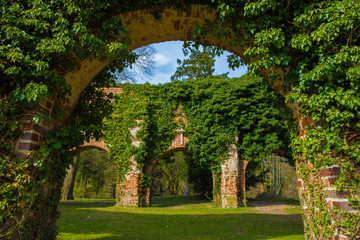 Fototapeta na wymiar Ruine der Klosterkirche in Himmelpfort