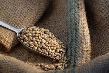 Green coffee bean raw in sack with scoop