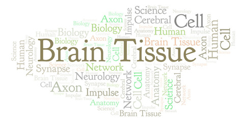 Brain Tissue word cloud.