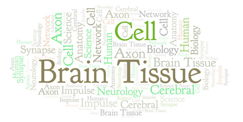 Obraz premium Brain Tissue word cloud.