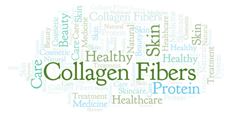 Obraz premium Collagen Fibers word cloud.