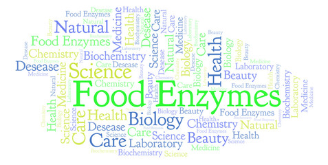 Obraz premium Food Enzymes word cloud.