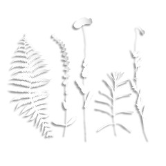 Fern, lavender and poppies illustration.Floral and herbal decorative background. Isolated  silhouettes in papercut  style. Paper collage effect with light shadow. 