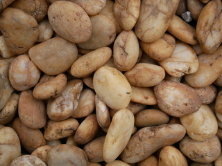 stone wall background