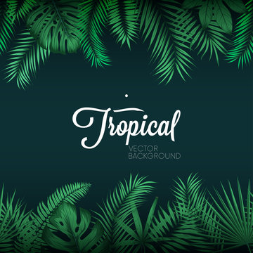 Tropical vector background with exotic green palm leaves