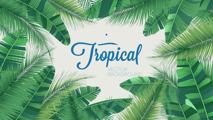 Vector tropical botanical plants, background with leaves of coconut and banana