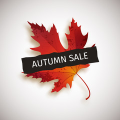Autumn sale, banner with red maple leaf, sale, shop, advertisement, vector illustration