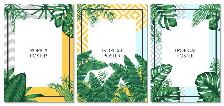 Summer tropical vector set design for cards, poster or flyer with exotic palm leaves