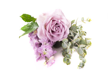 Purple rose flower and green leaves