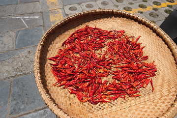 food preservation, Red chilli drying in the basket under sunlight