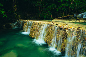 Beautiful waterfall in green rainforest