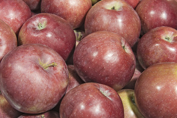 Ripe red apples closeup background