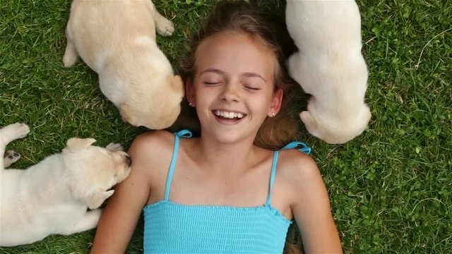 Girl lying on the grass and playing with labrador puppies - laughing with joy