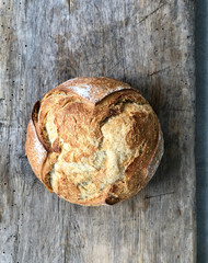 Freshly baked bread