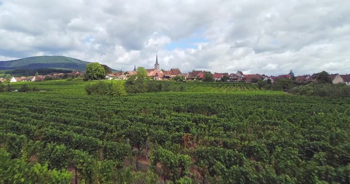 Mittelbergheim Alsace France Town surrounded by vineyards in summer