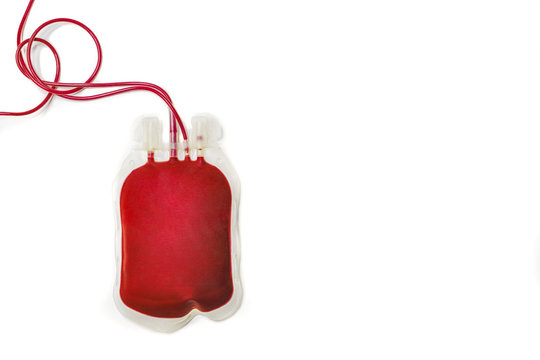 Clean bag of human blood isolated on white background. Blood donation blood transfusion concept.