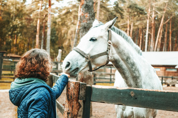 Beautiful young woman stroking the nose of a gray horse, love and care for animals