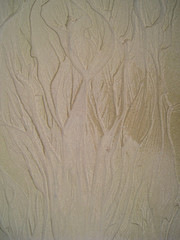 wet sand on the beach.