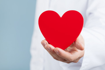 Doctor cardiologist holding a red heart in his hands. Cardiology and heart disease concept.