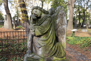 Fototapeta premium Historic Statue on the mystery old Prague Cemetery, Czech Republic