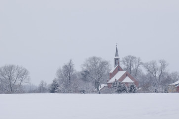 SNOWY WINTER - Snowstorm in the fields and in the countryside
