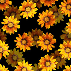 Beautiful floral background of yellow flowers 