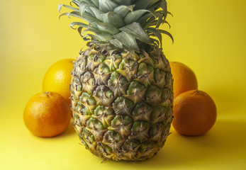 Pineapple isolated on yellow background with oranges and mandarin oranges. Shallow dof.