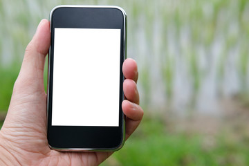 agronomist farmer using smart phone to monitor humidity, pH, temperature in rice paddy field.