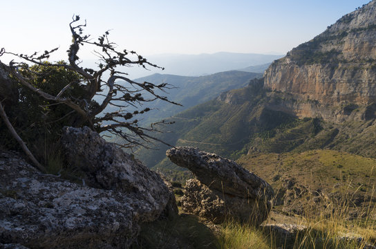 A beautiful mountain landscape in the morning with rocks, pastures and dry solitary tree, summertime; Typical scenery of Southeastern Europe, Greece