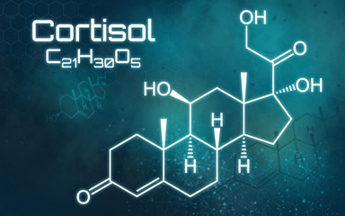 Chemische Formel von Cortisol