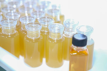 kaffir lime bergamot  shampoo in bottle