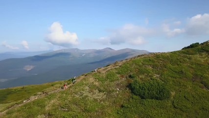 Group of hikers rises in the mountains in the Carpathians drone footage