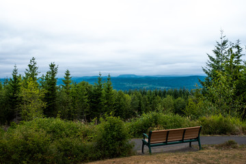Bench overlooking forest and stormy sky