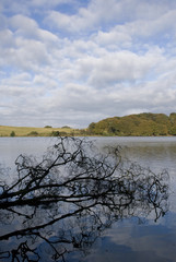 Talkin Tarn, Cumbria