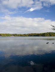 Talkin Tarn, Cumbria