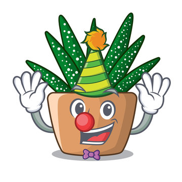 Clown cartoon zebra cactus plant at park