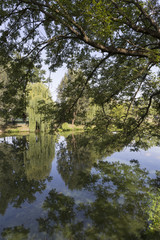Fototapeta na wymiar The largest Park in Prague – Stromovka - the Royal Tree-tree, Czech Republic