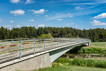 Fototapeta na wymiar Foot bridge over river with forest