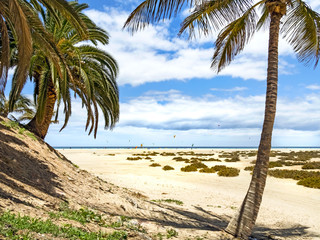 Blick zum Strand auf Fuerteventura 