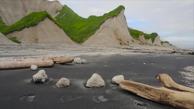 Bear tracks on the black sand beach by the white cliffs. Iturup island. Trackingshot.