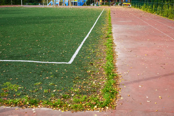 Close up ,Artificial grass with white stripe