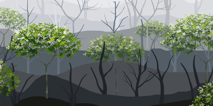 Dark background of green tree in forest fog area. Silhouettes of dry trees in forest. Vector.
